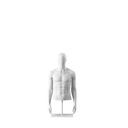 Torso homme abstrait blanc, avec tête abstraite, socle en métal blanc époxy, pose 152
