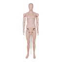 Beweegbare herenmannequin in huidskleur voor museumkledij, abstract hoofd, verstelbaar, pose YM55