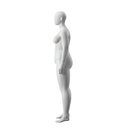 INSF033H103F_GR3