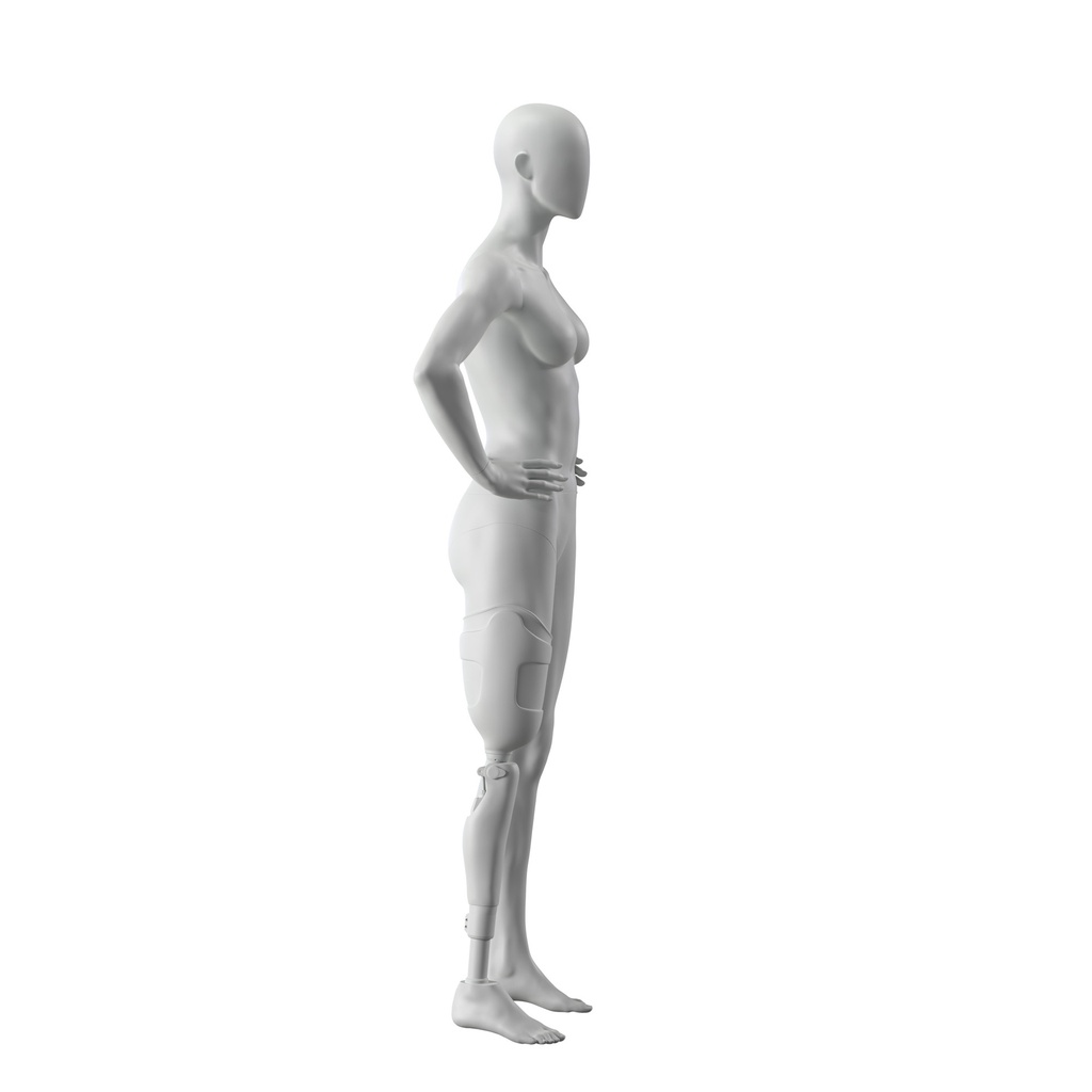 INSF113H101F_GR3