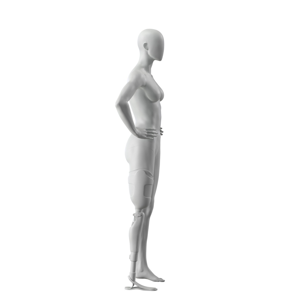 INSF113H101F_GR3