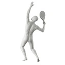 INSM313H401F_GR3