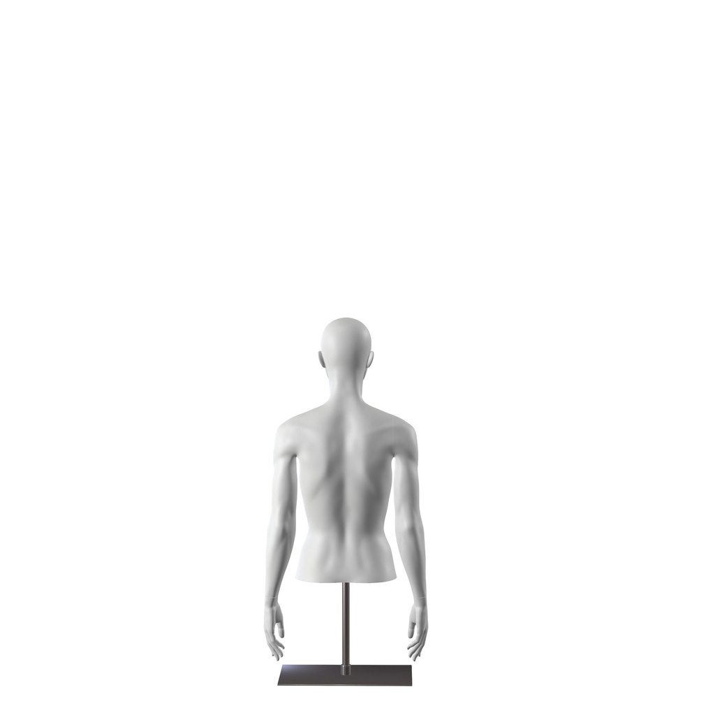 INSF251H101F_GR3