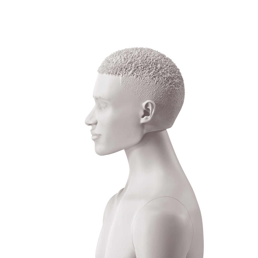 BINK - Afrikaans herenhoofd met gestileerd haar, kleur lichtgrijs
