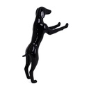 Perro erguido, negro brillante
