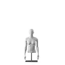 Sportlicher Damentorso ohne Beine, grau, Metallbasis, abstrakter Kopf, pose 251