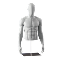 Buste sportif sans jambes, homme, base métallique, pose 551