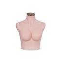 Femenino torso cut below breast, C cup, silicone