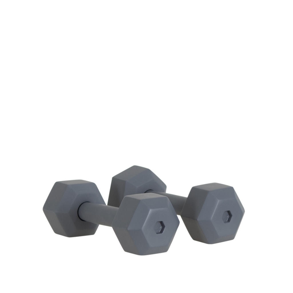 BINK - Pair of dummy dumbells, FRP, graphite grey