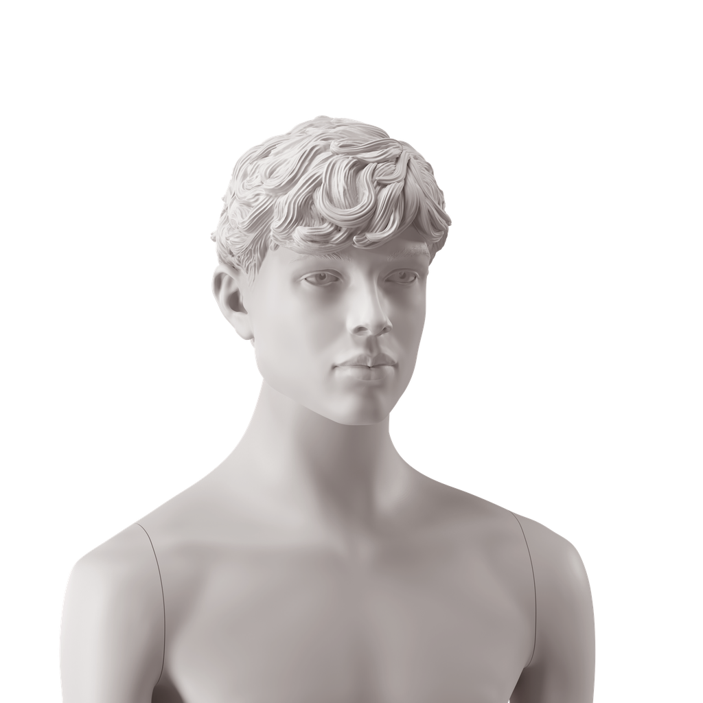 BINK - Tête d'homme aux cheveux ondulés stylisés, coleur gris clair