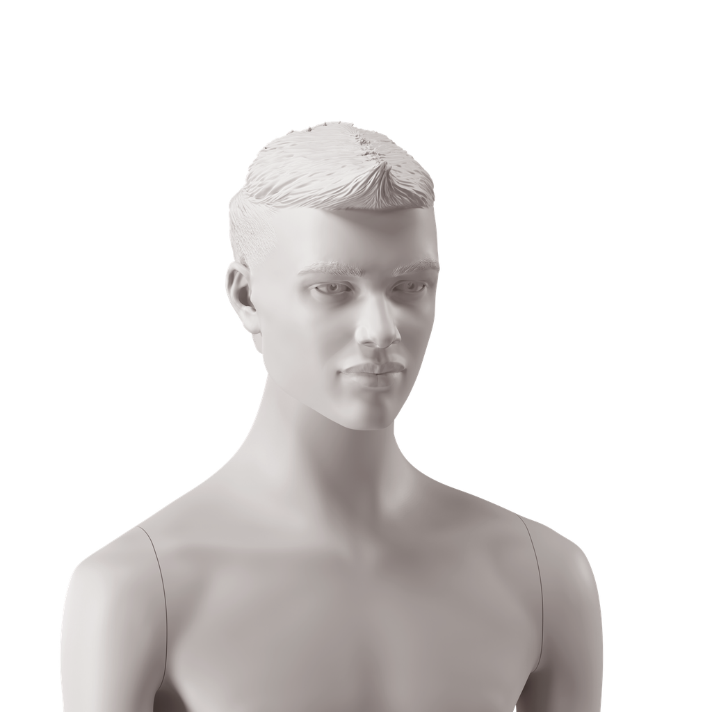 BINK - Tête d'homme aux cheveux stylisés coupe mulet, coleur gris clair