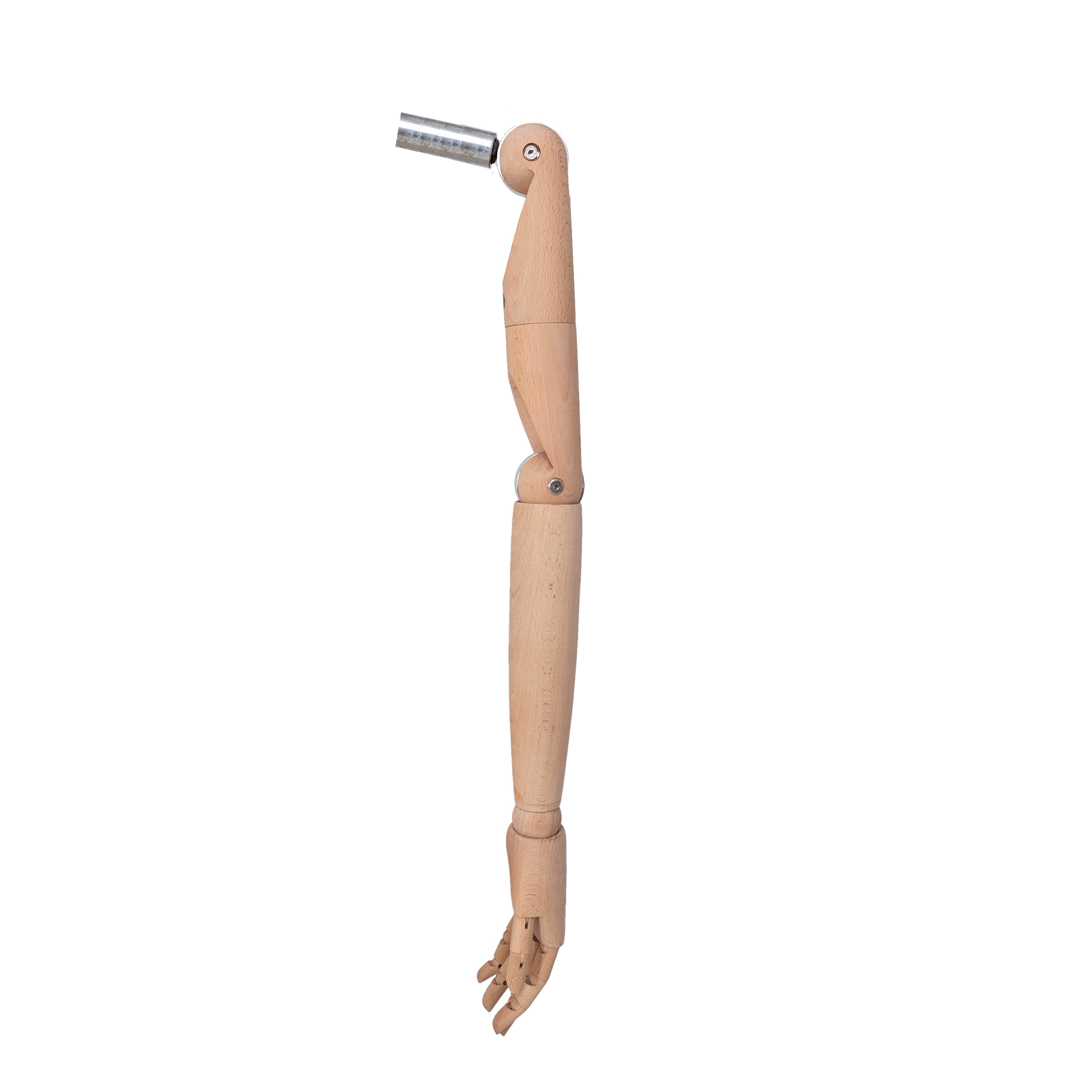 BINK - Paar Damenarmen in Holz für Atelier Büste,