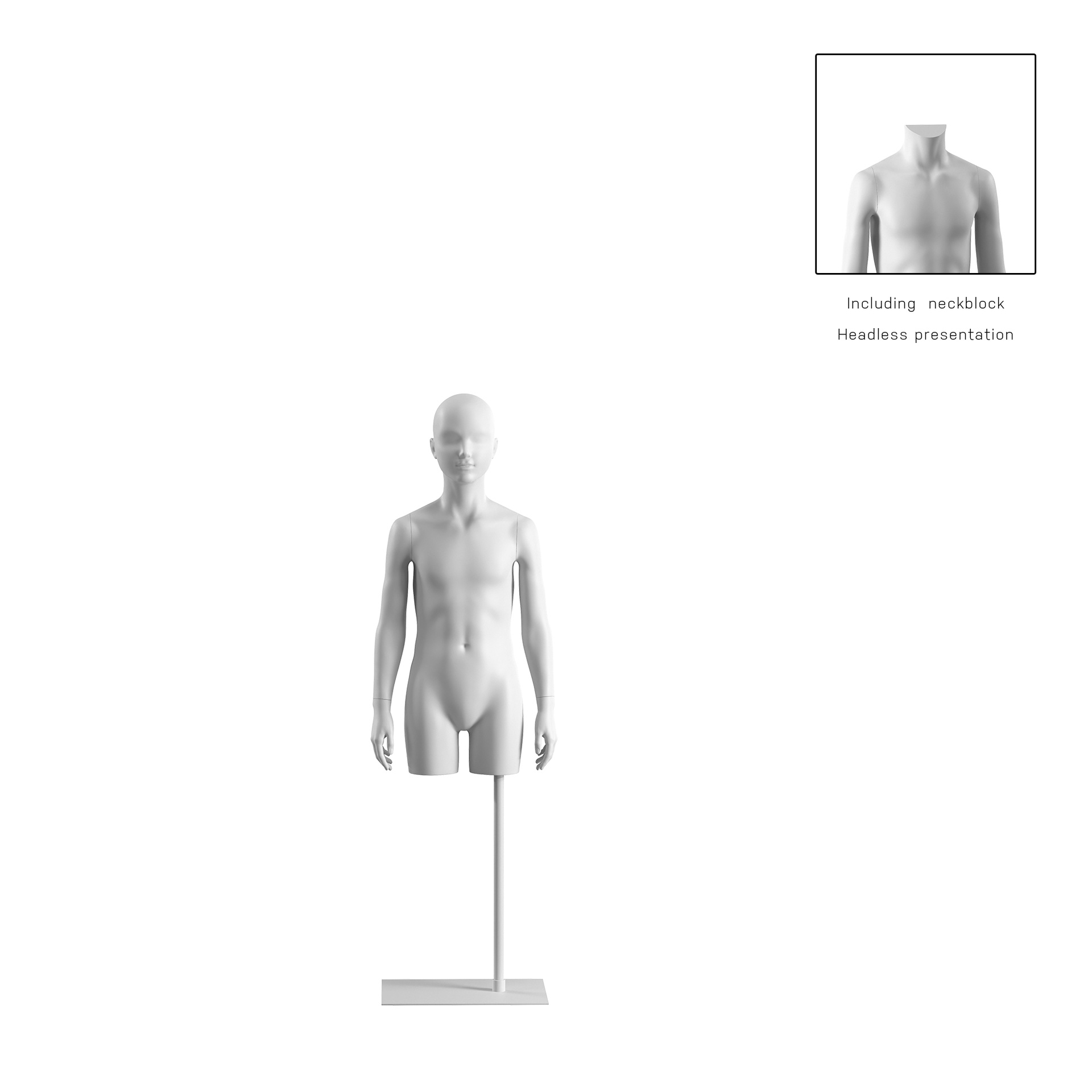 BINK - Torso infantil, 8 años, blanco, incl. base, Bio FRP