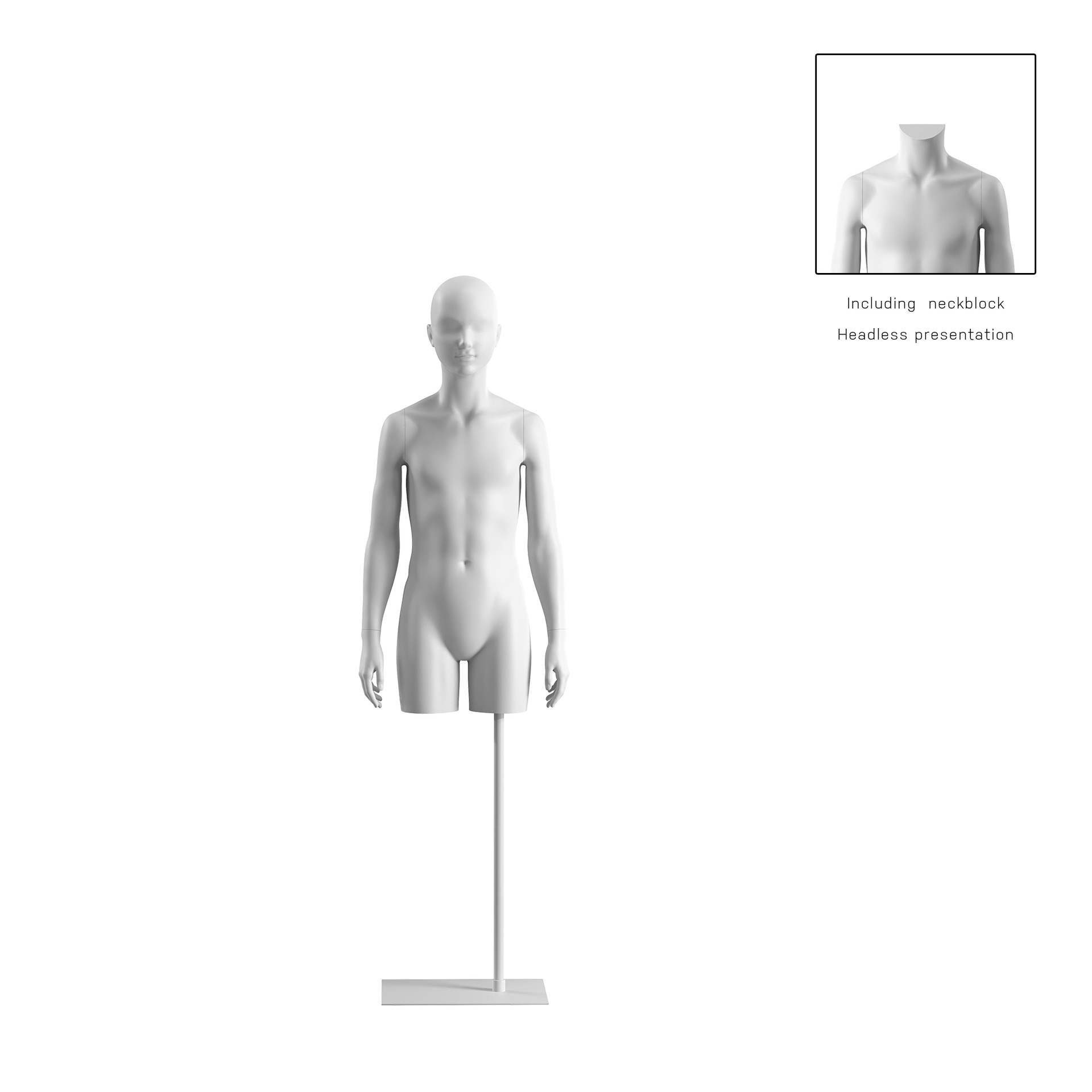 BINK - Torso infantil, 12años, blanco, incl. base, Bio FRP