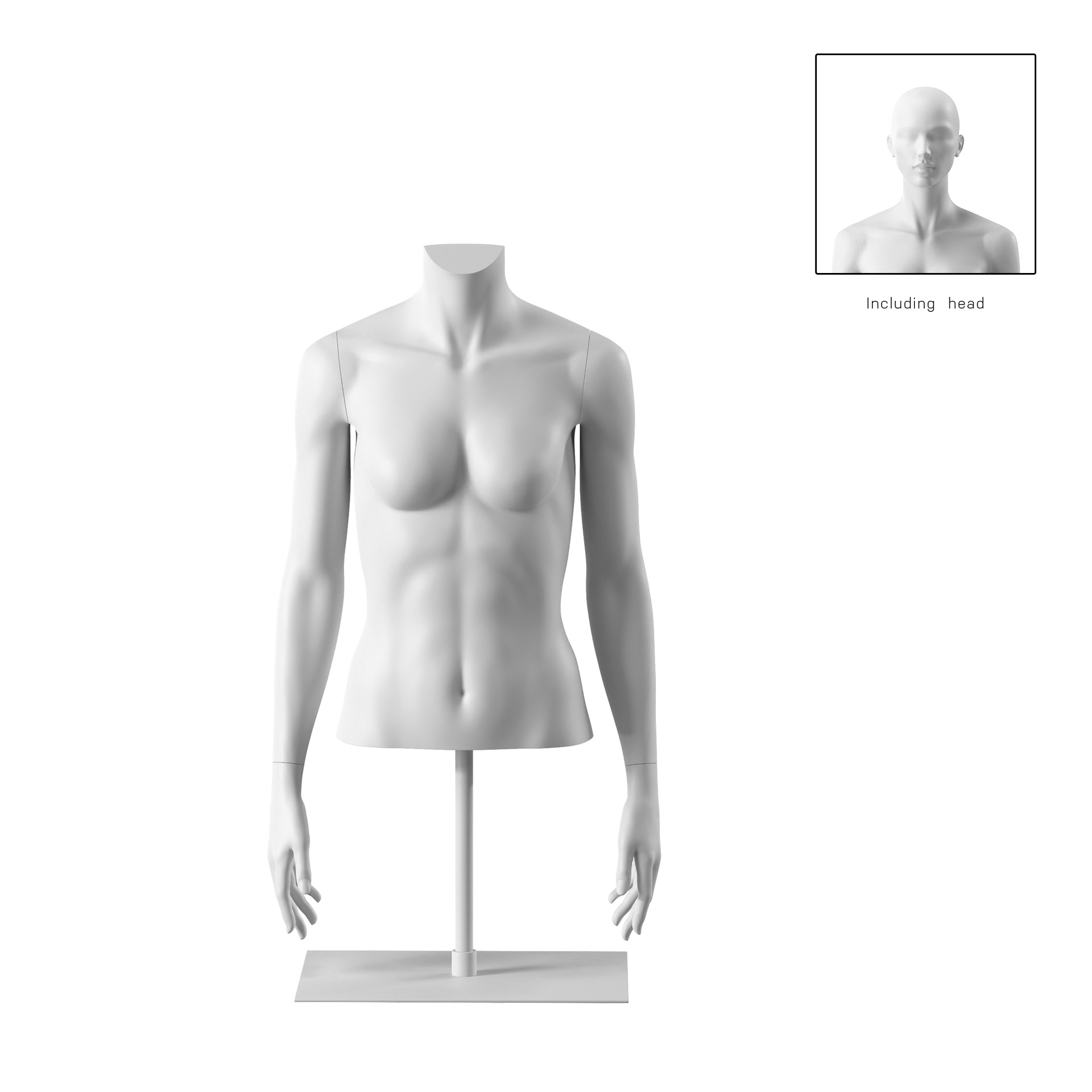 BINK - Buste femme court, blanc, socle inclus, Bio FRP