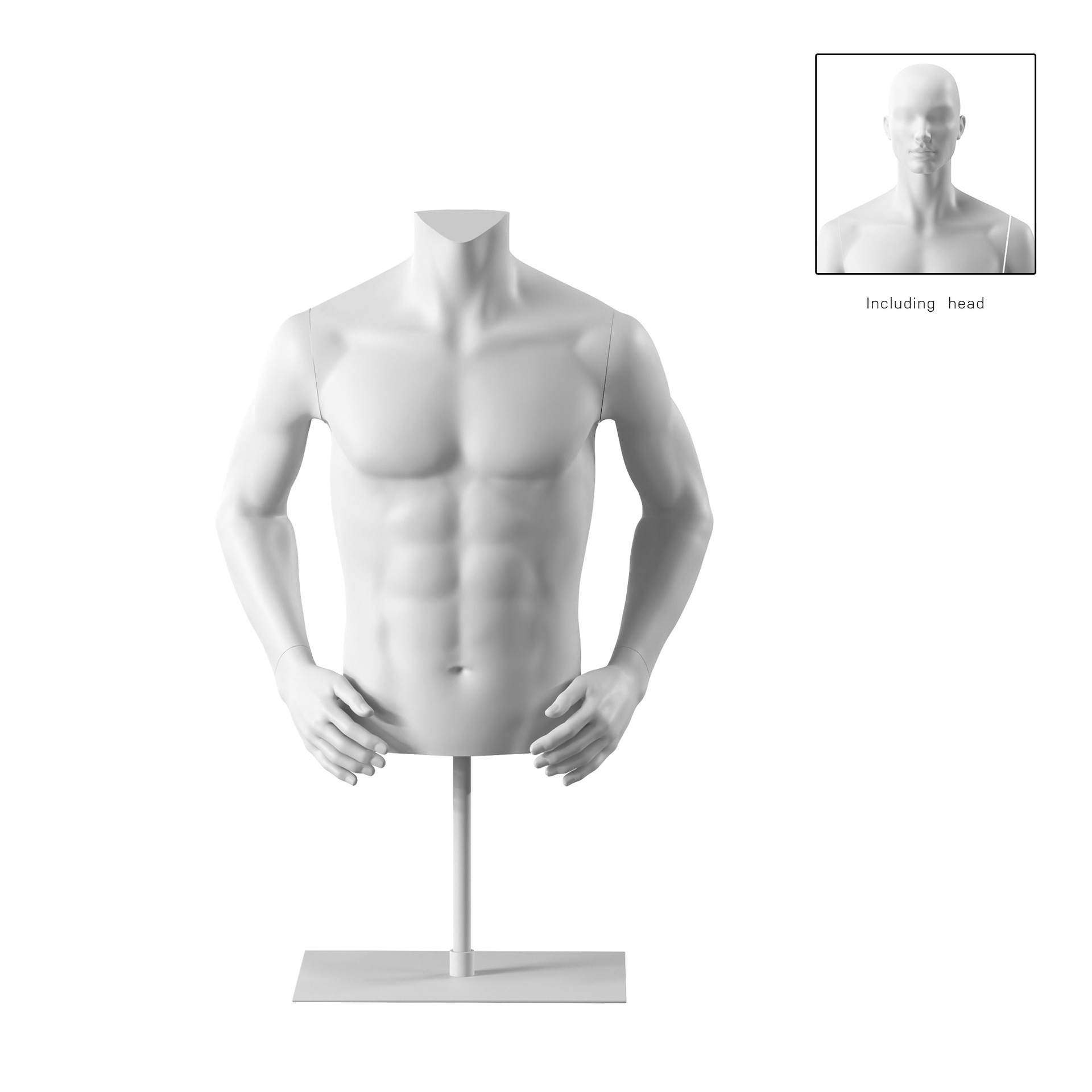 BINK - Kurzer Herrentorso, weiβ, inkl. Ständer, Bio FRP