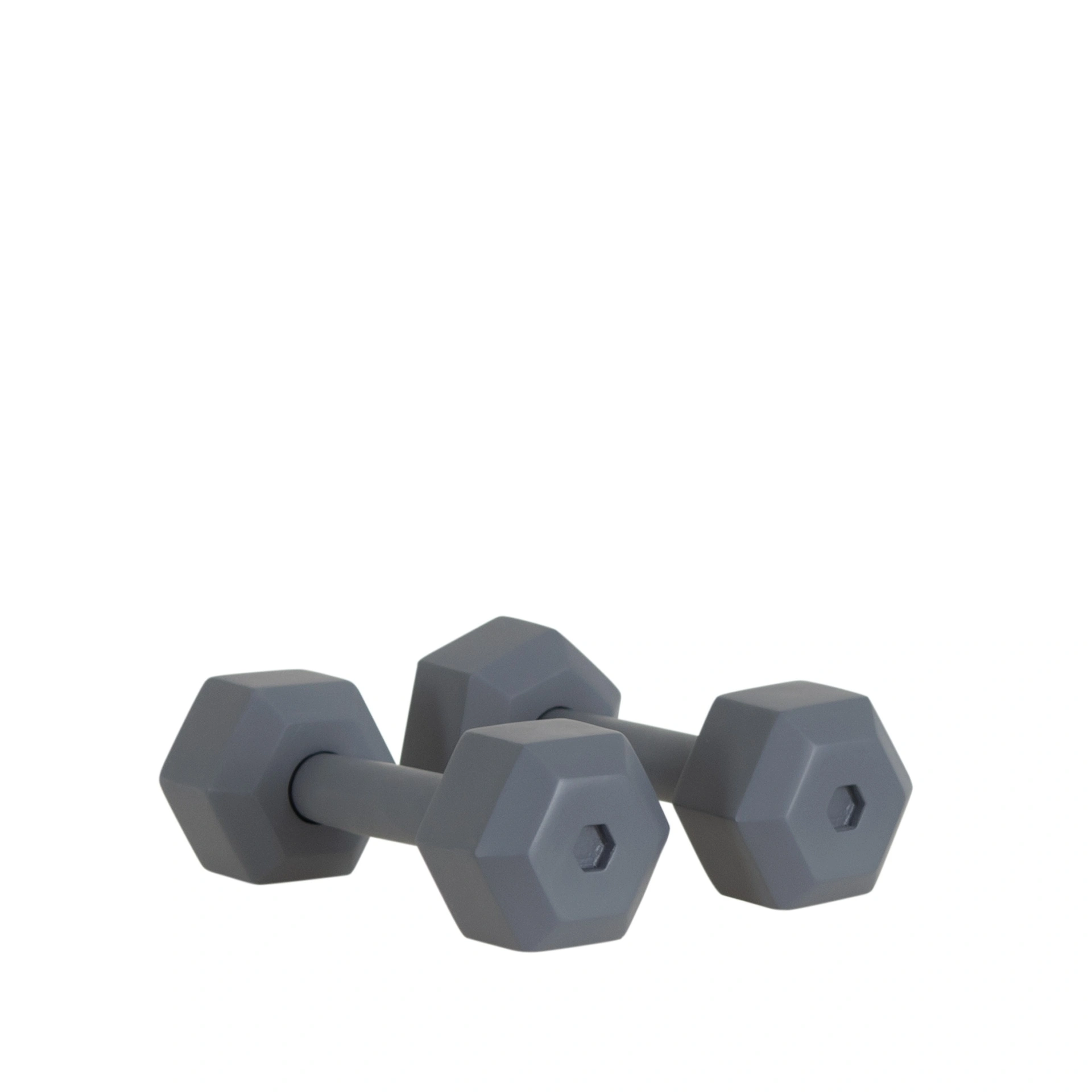 BINK - Paar Kurzhanteln Fitness, FRP, graphitgrau